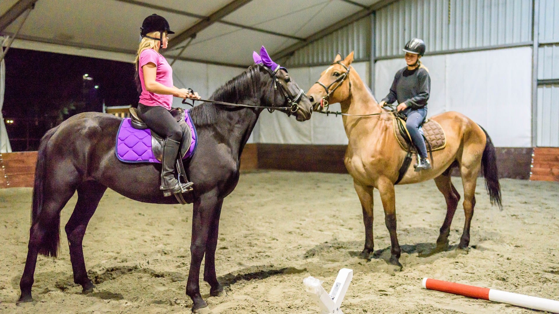 a couple of people riding horses