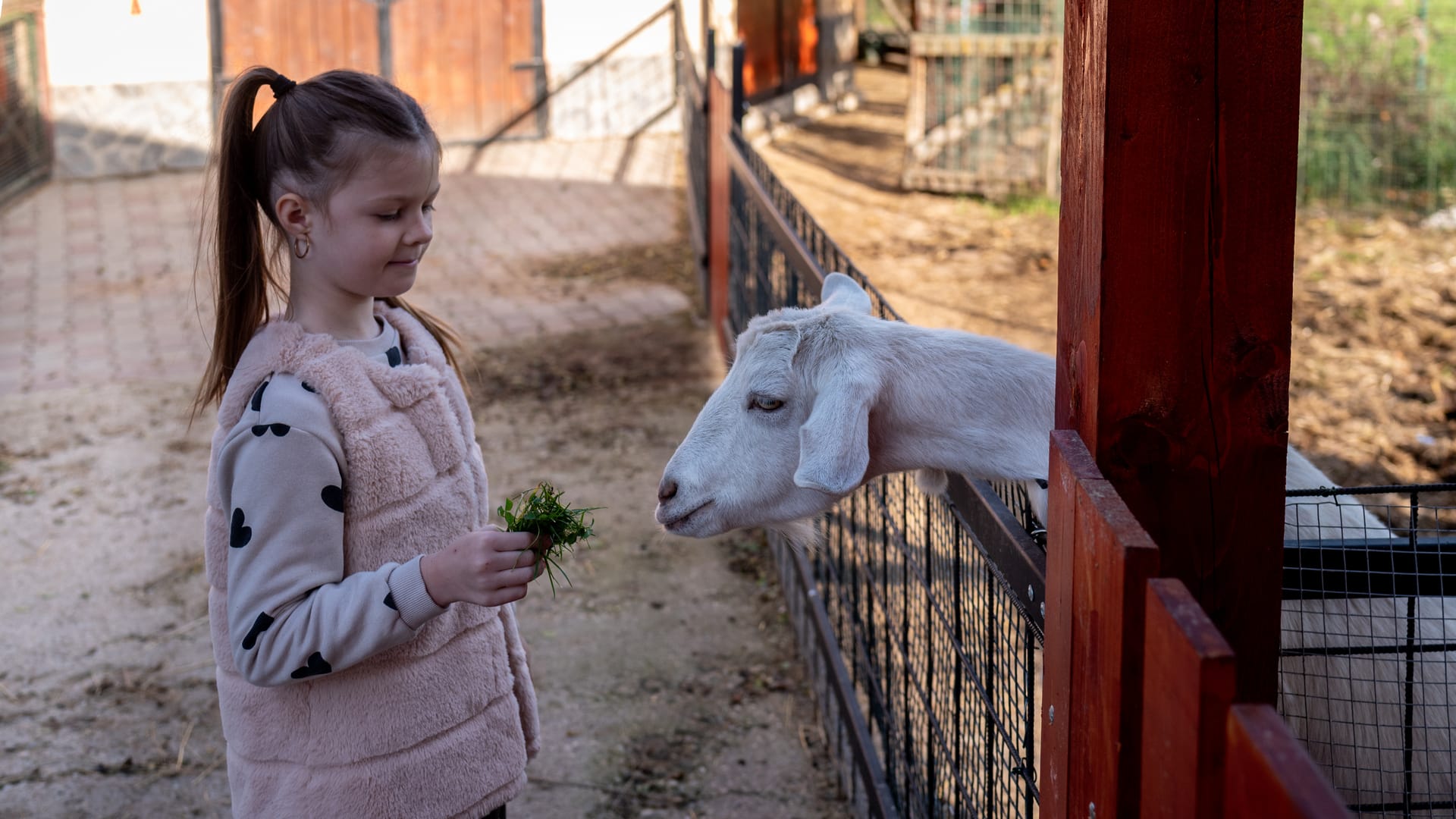 Gazdovský dvor - Ranč u Bobiho