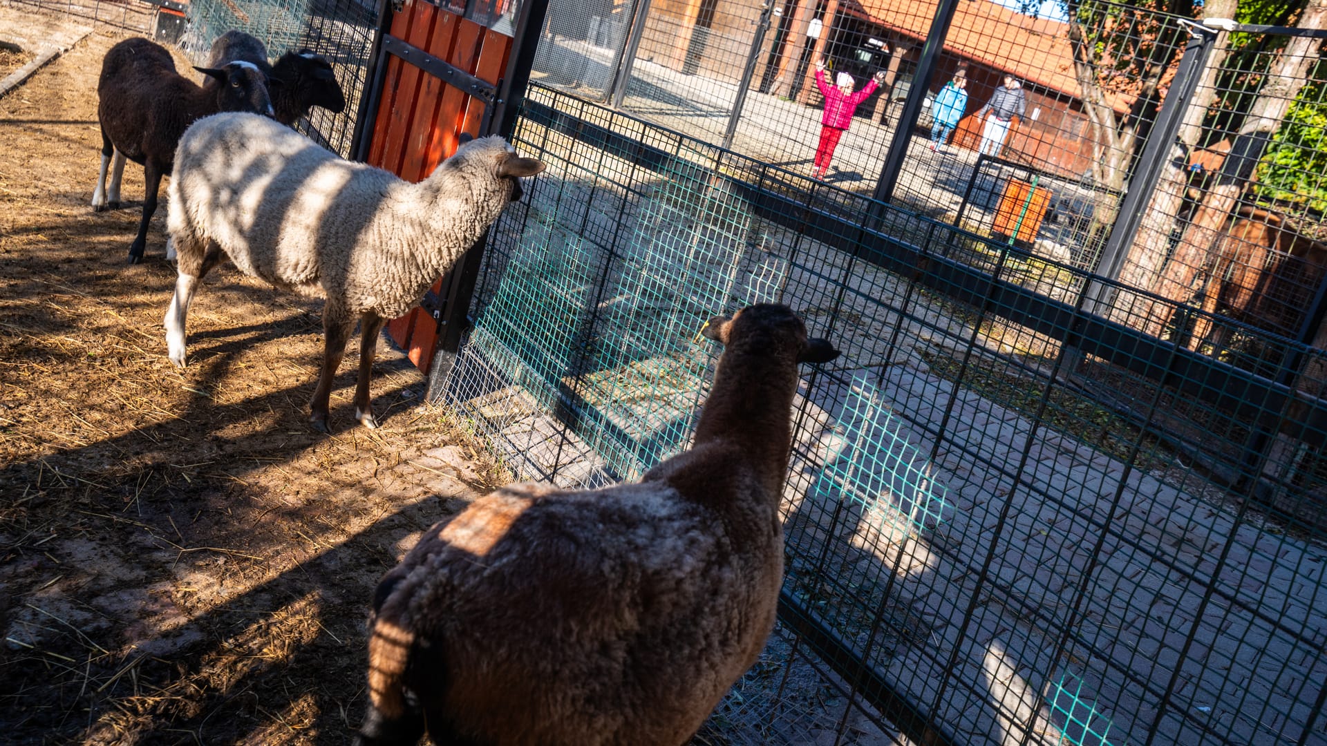 Gazdovský dvor - Ranč u Bobiho