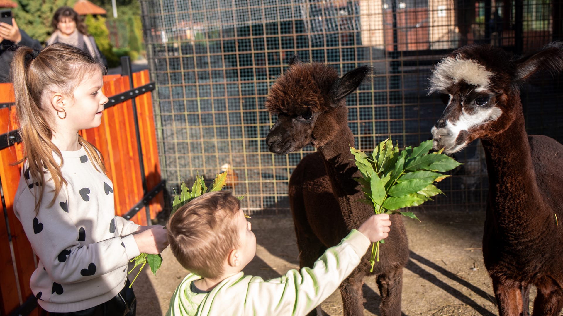 Gazdovský dvor - Ranč u Bobiho