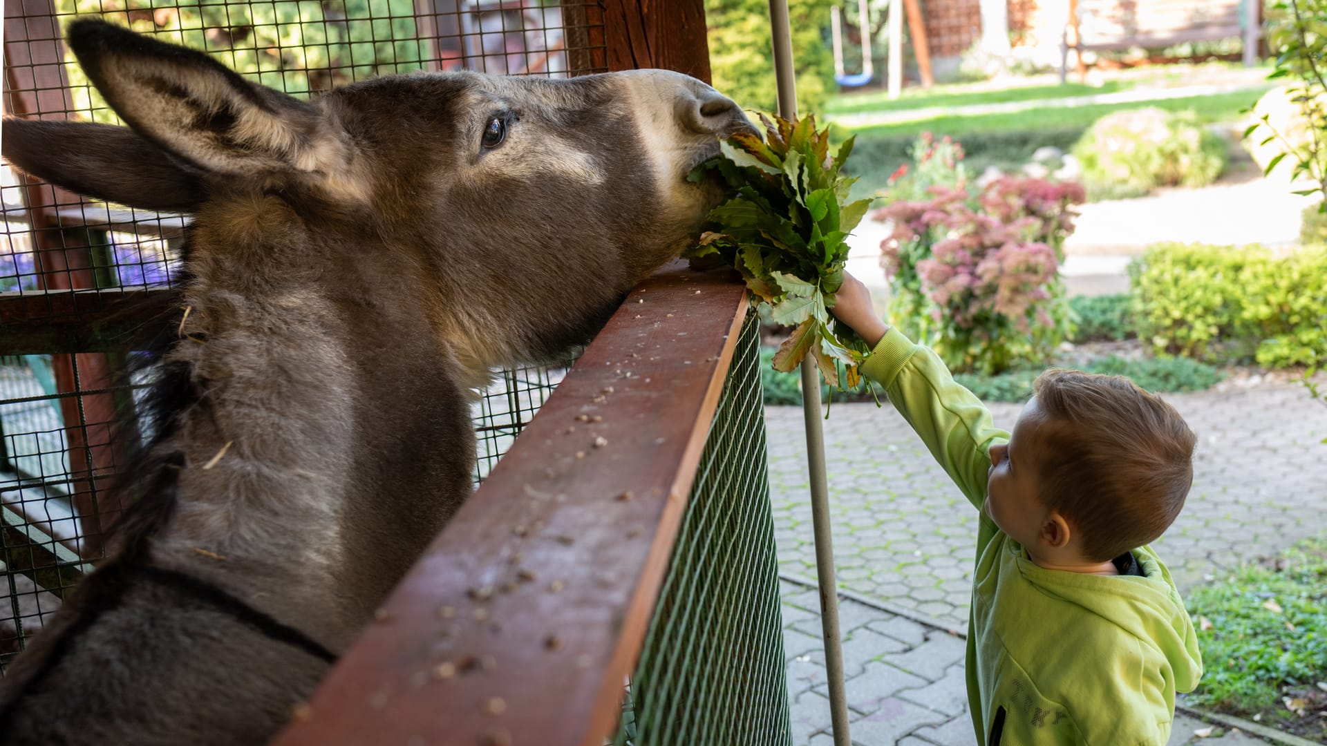 Gazdovský dvor - Ranč u Bobiho