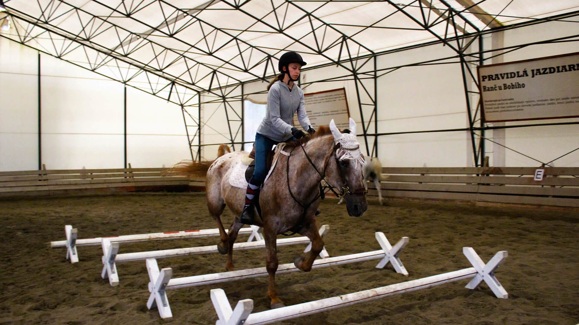 Jazdecké tábory na Ranči u Bobiho