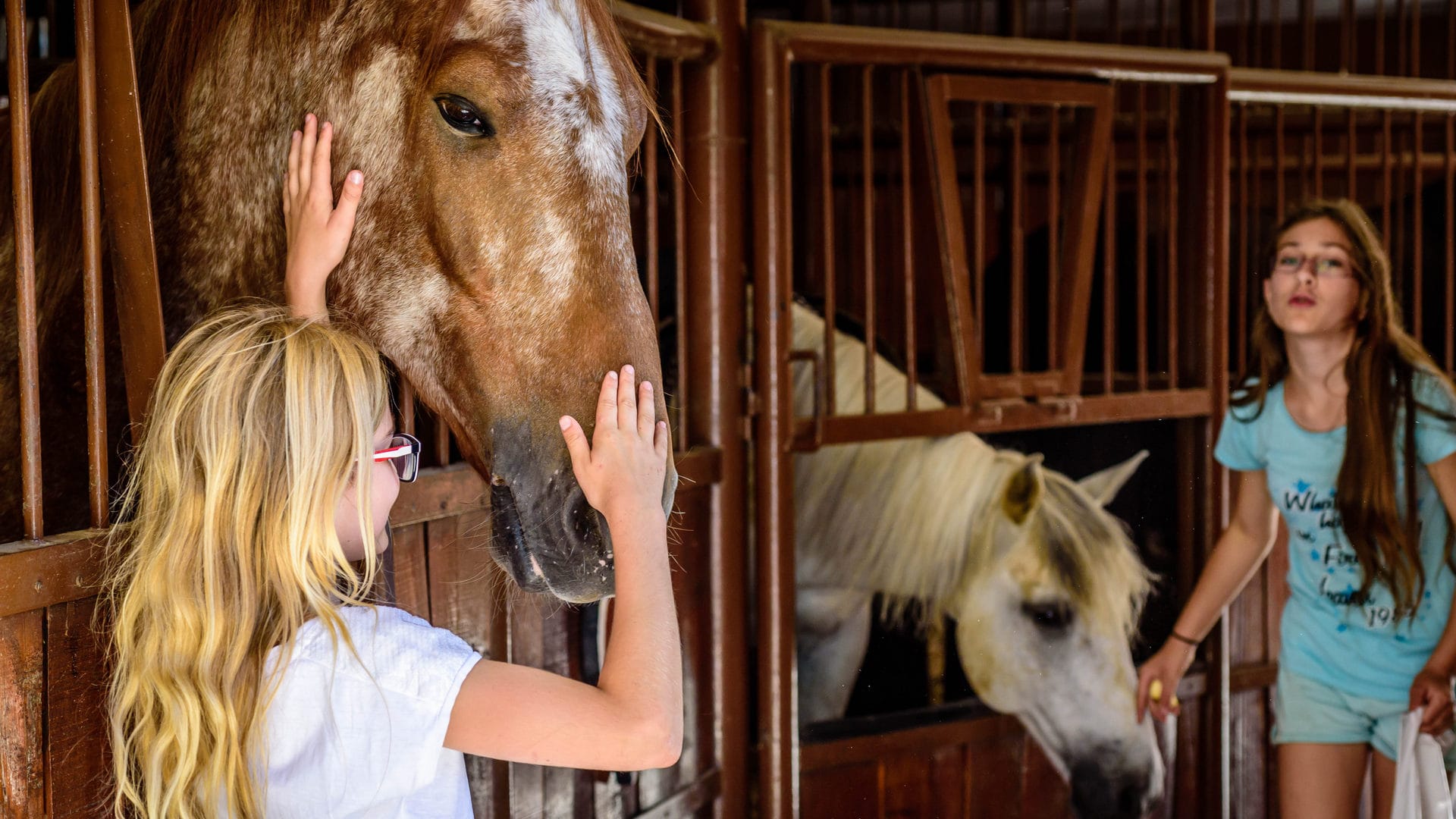 a woman petting a horse