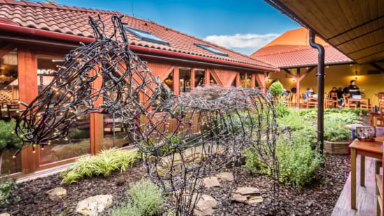 a garden with a building in the background