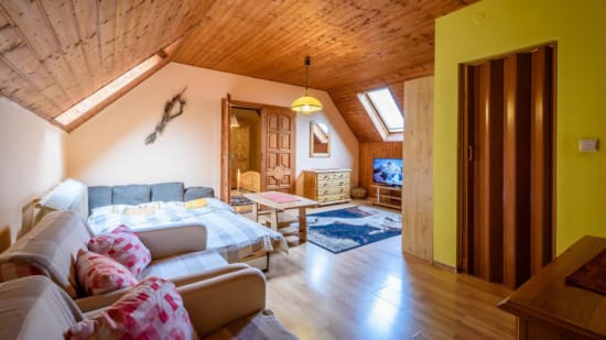 a large living room with a large bed and a large mirror