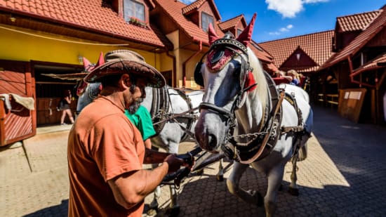 a person riding a horse