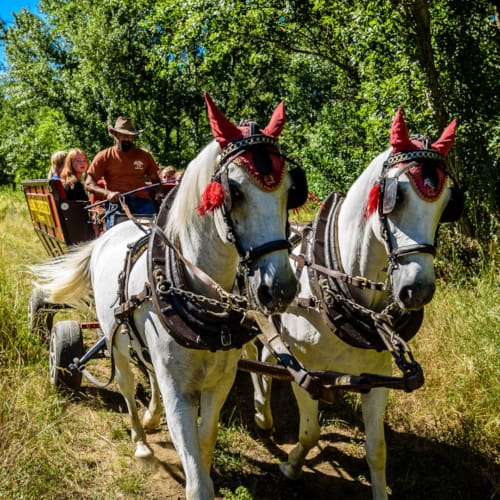 a couple of horses pulling a cart