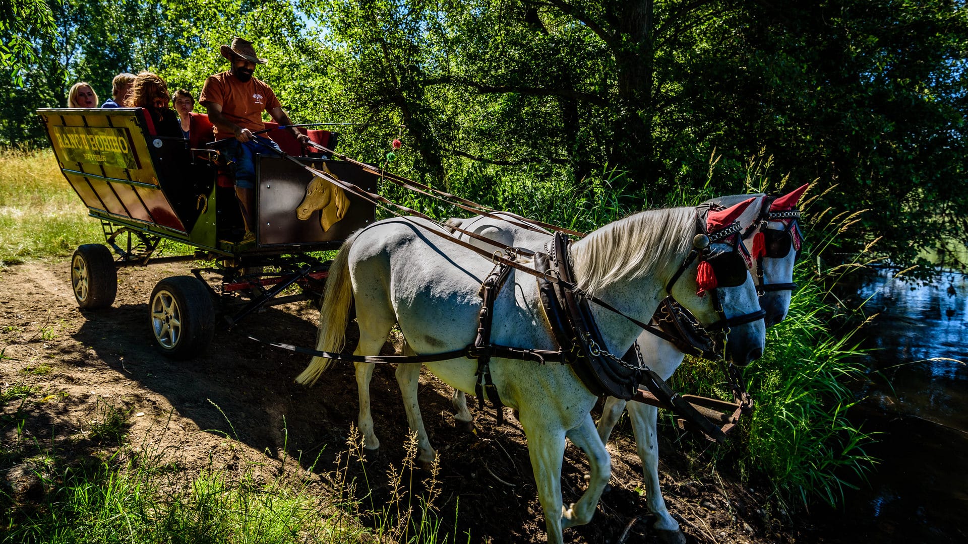 a horse pulling a cart