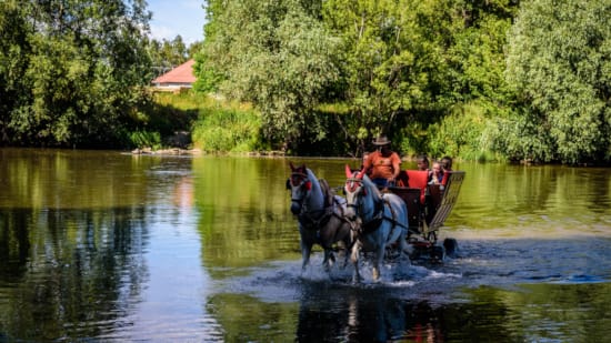 a group of people ride a horse and buggy through a river
