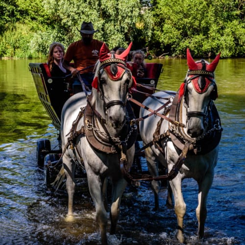 a group of people ride on a boat