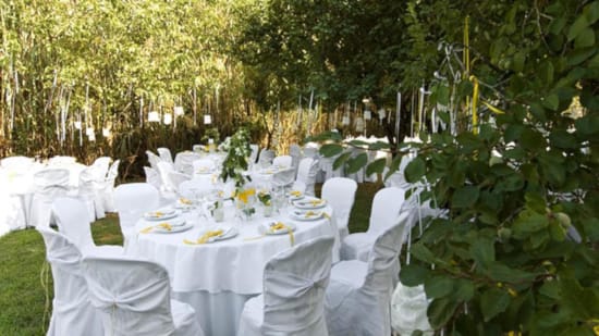 a set table with white chairs and white tables