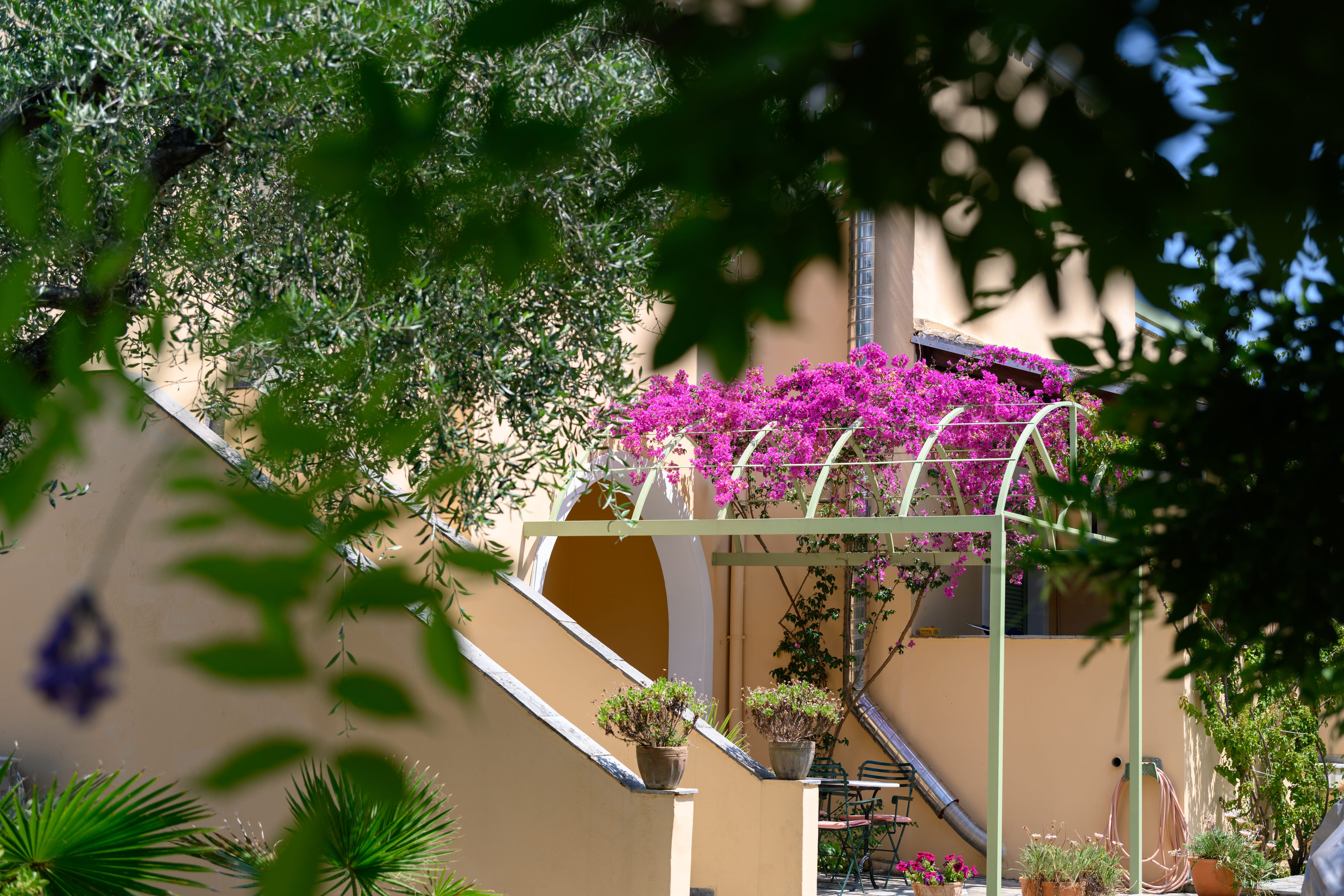 a house with a large tree in the front