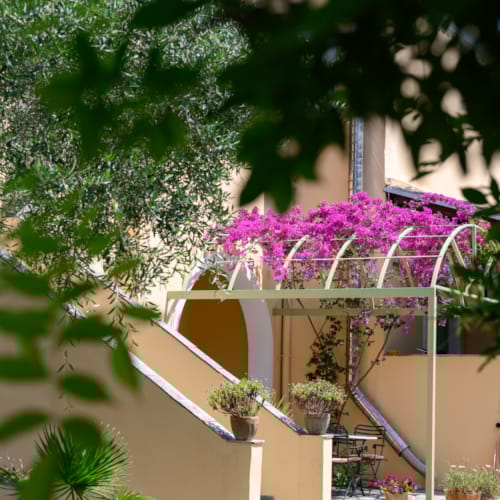 a house with a large tree in the front
