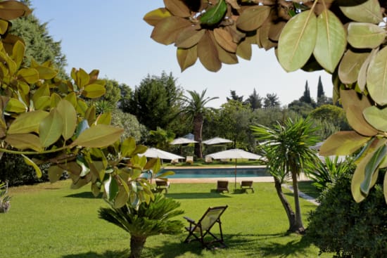a group of trees with umbrellas