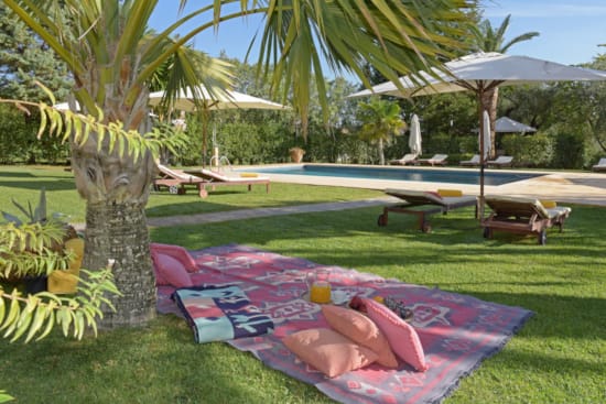 a lounge chair and lounge chairs on a lawn with palm trees
