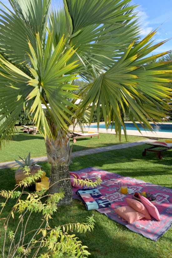 a hammock on a hammock in a tropical area