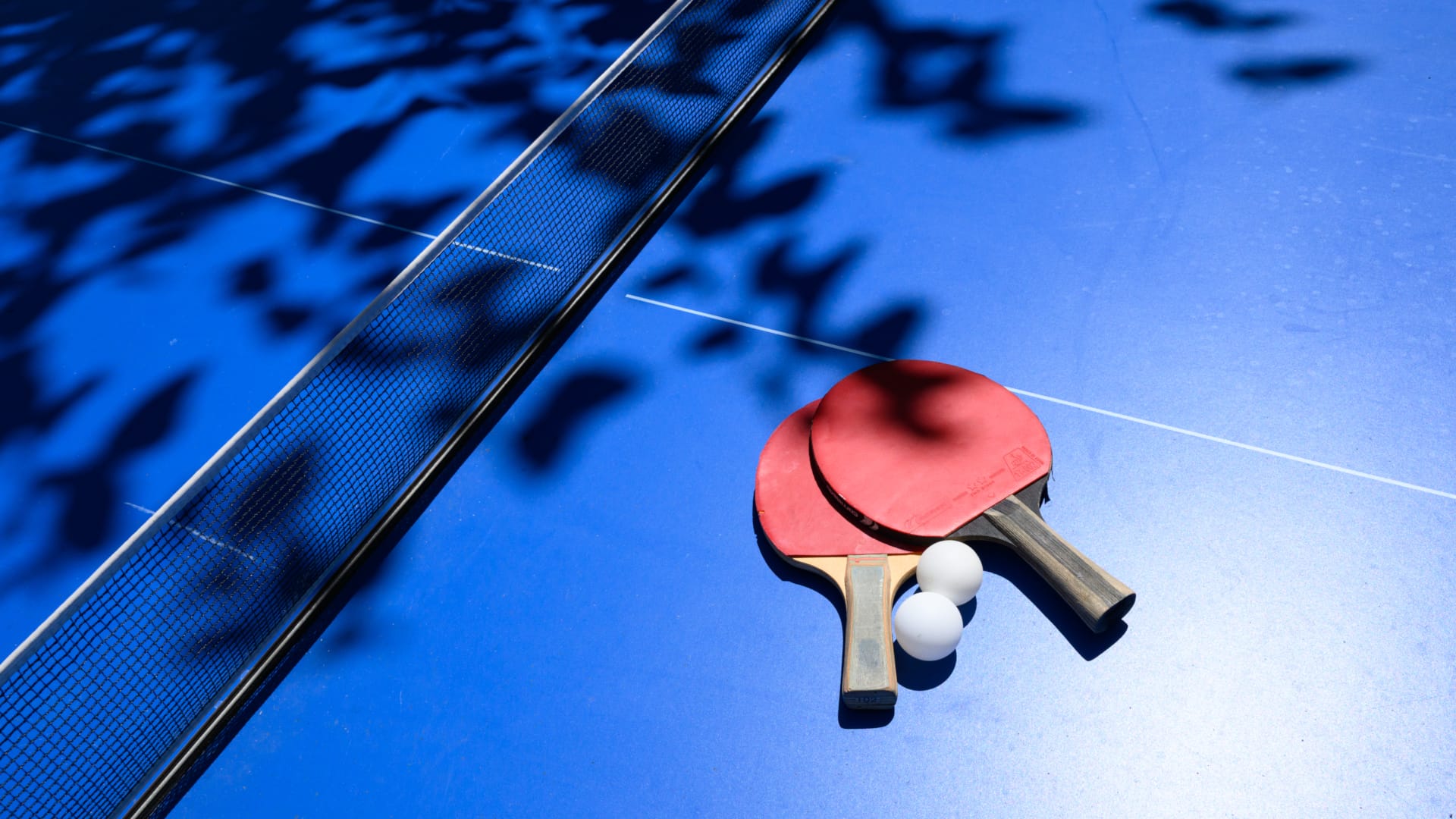 a close-up of a dart board