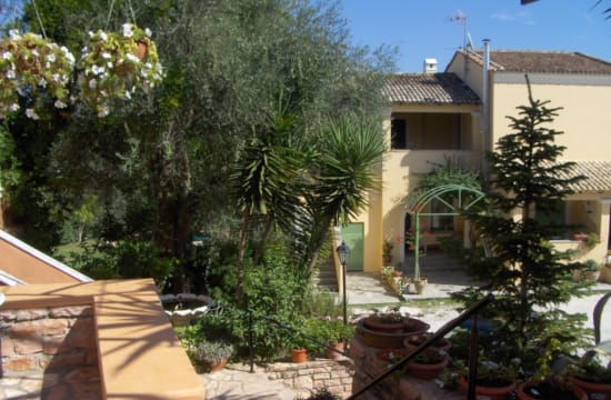 a house with trees and a patio