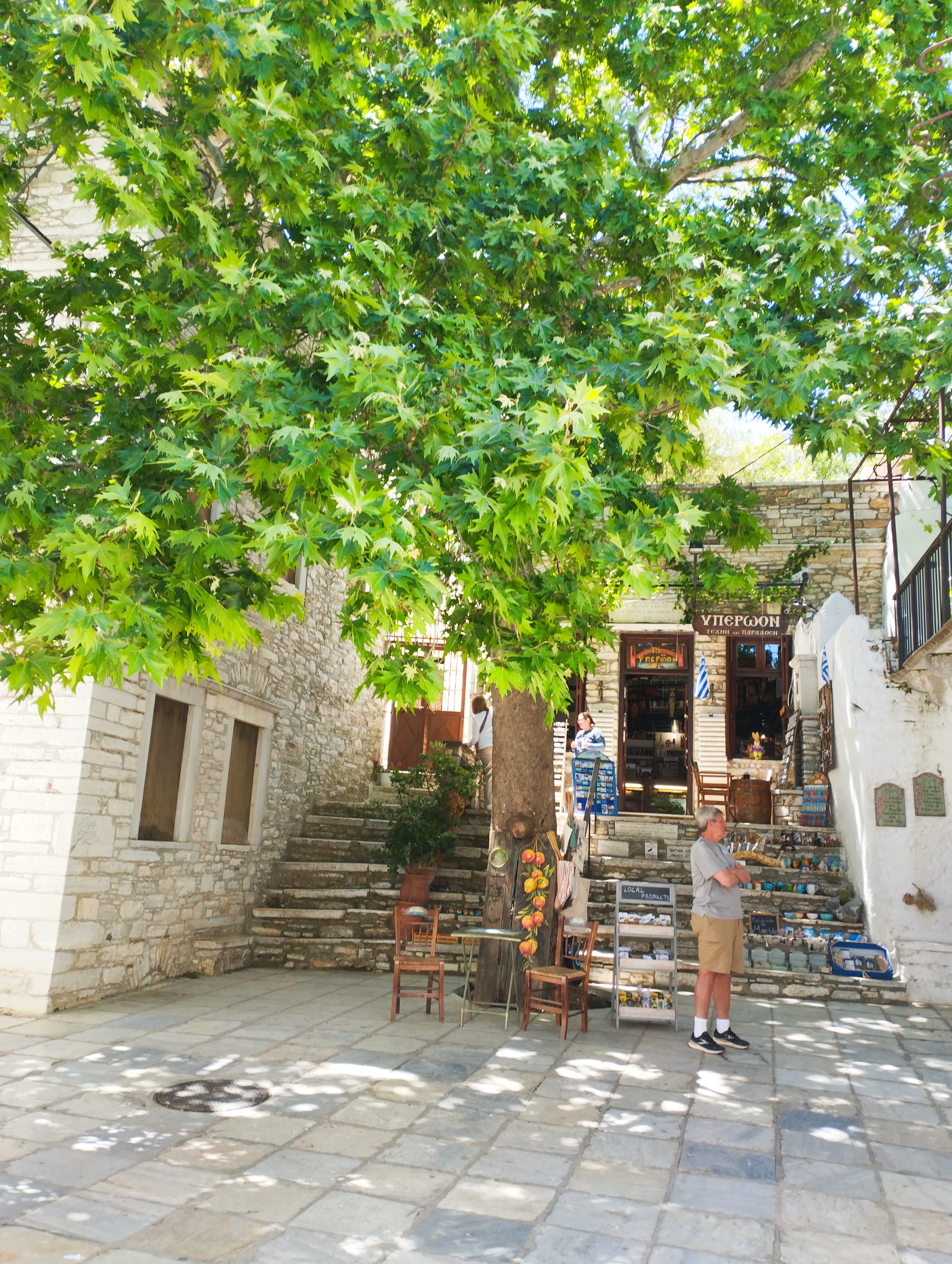 a person standing under a tree