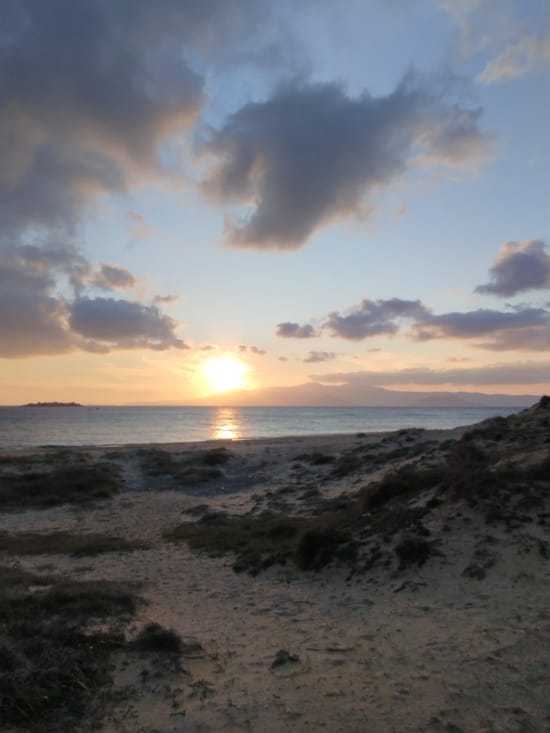 a beach with a sunset