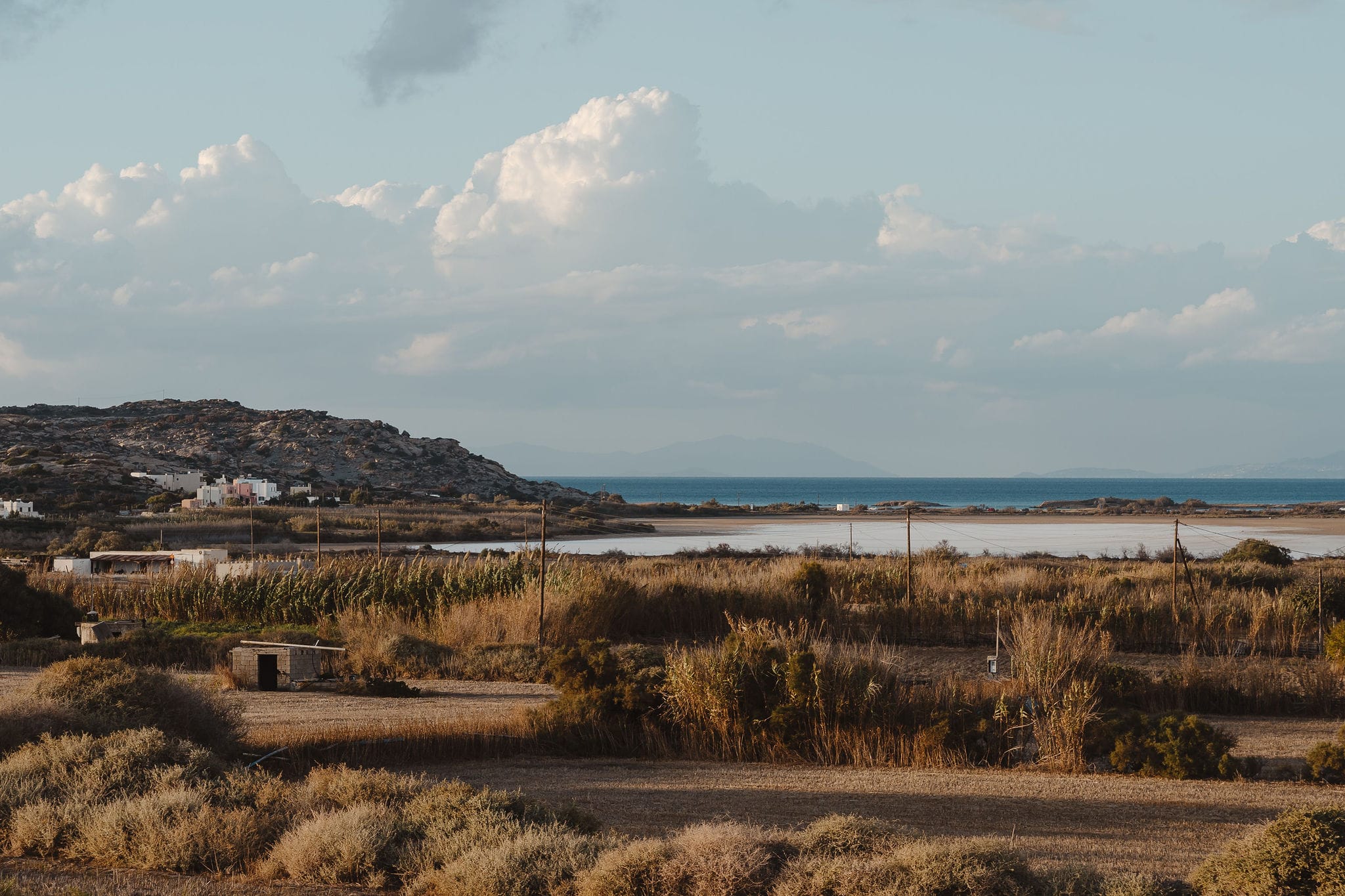 a beach with a road and bushes