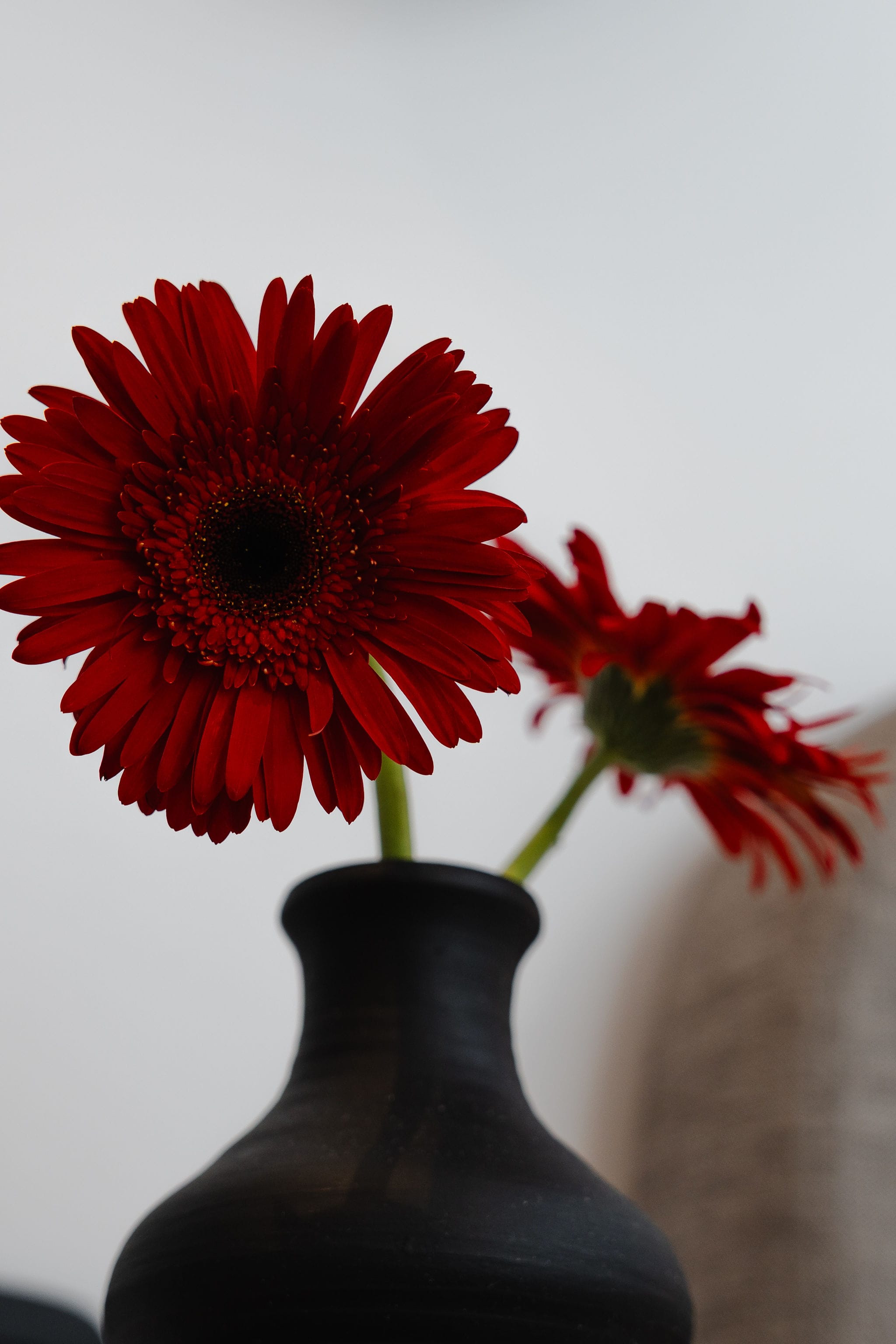 a vase with red flowers