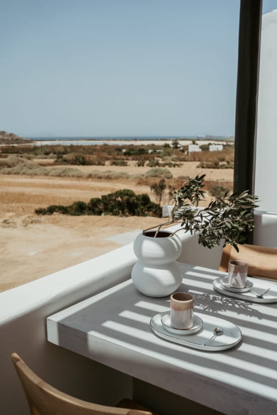 a table with a plant and a window overlooking a beach