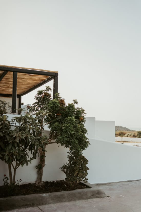 a tree in front of a building