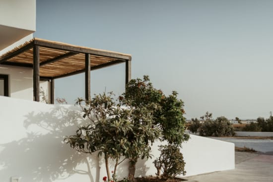 a tree in front of a building