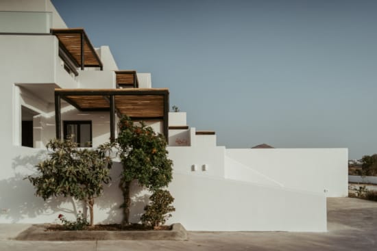 a white building with a tree in front of it
