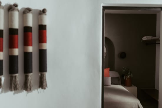 a room with a bed and a desk with a plant