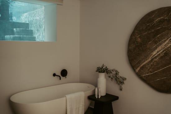 a bathroom with a tub and a plant
