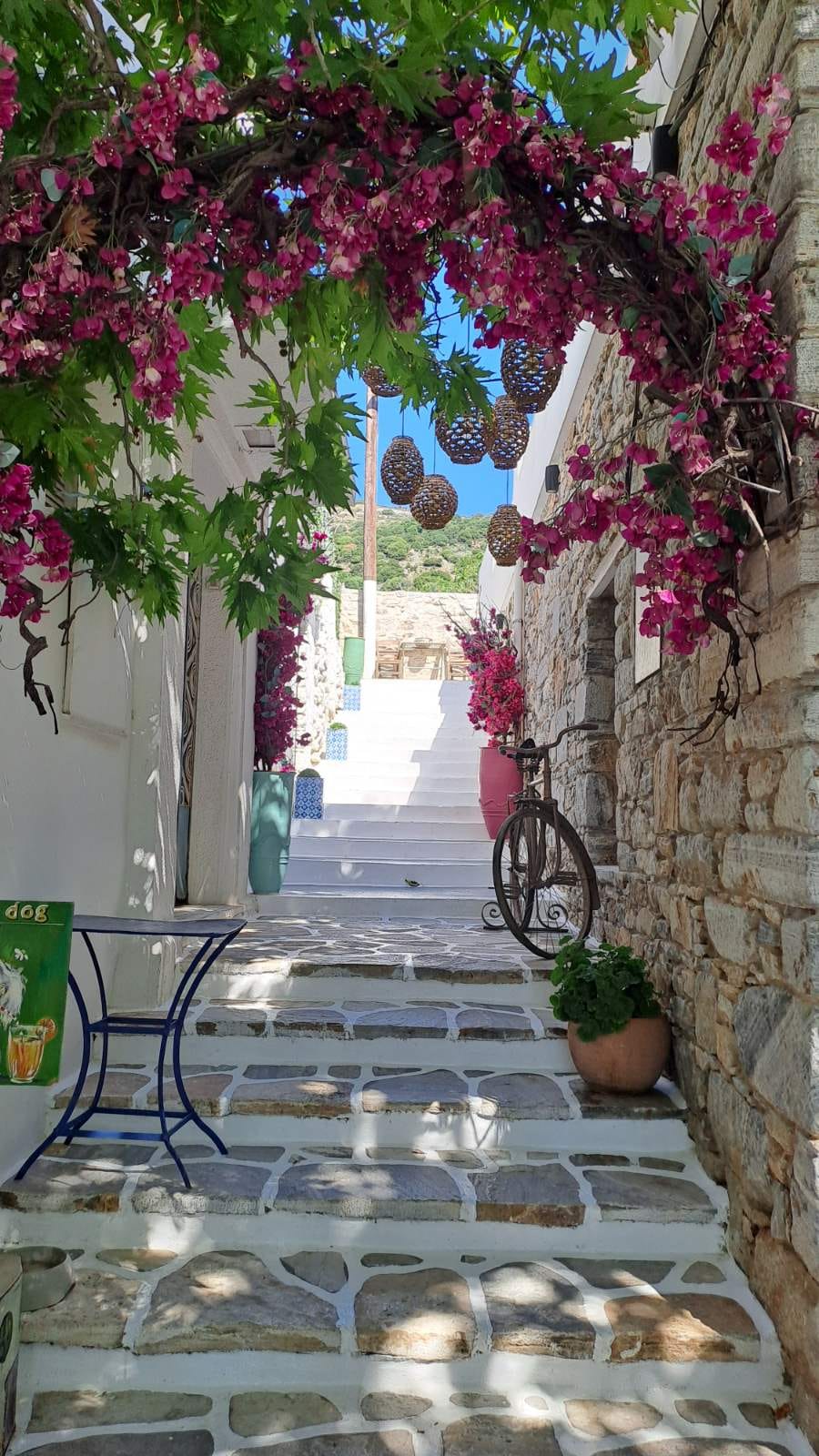 a courtyard with a bench and a tree with pink flowers