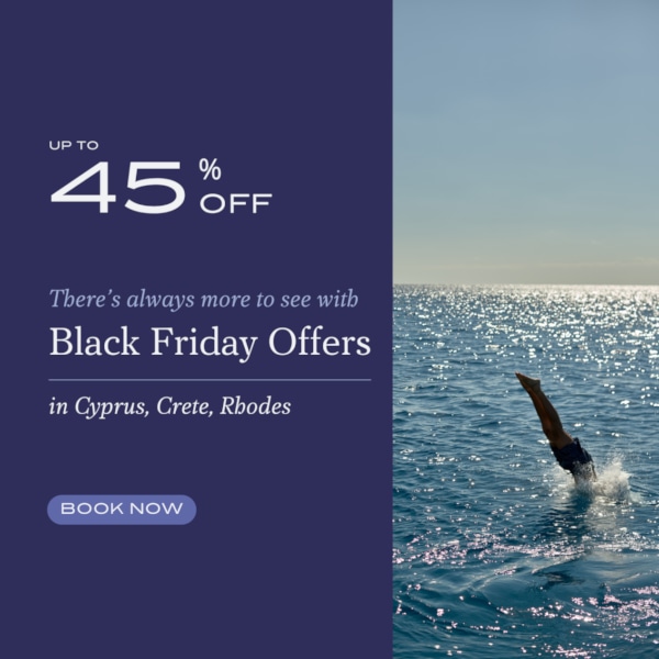 a dolphin jumping out of the water