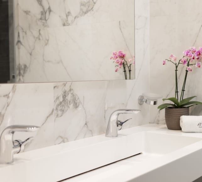 a bathroom with a flower pot and a plant on the sink