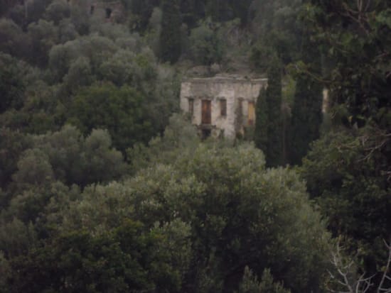 a stone building surrounded by trees