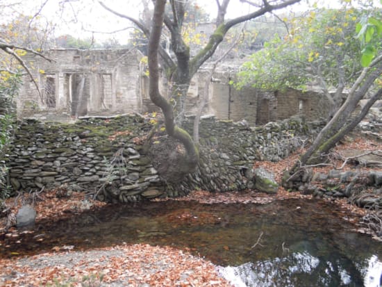 a small pond with a stone wall and trees around it