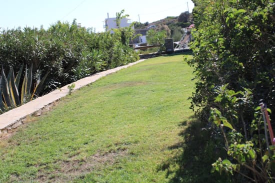 a path with grass and trees