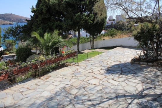 a stone path with trees and plants