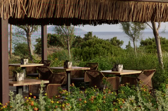 a garden with tables and chairs