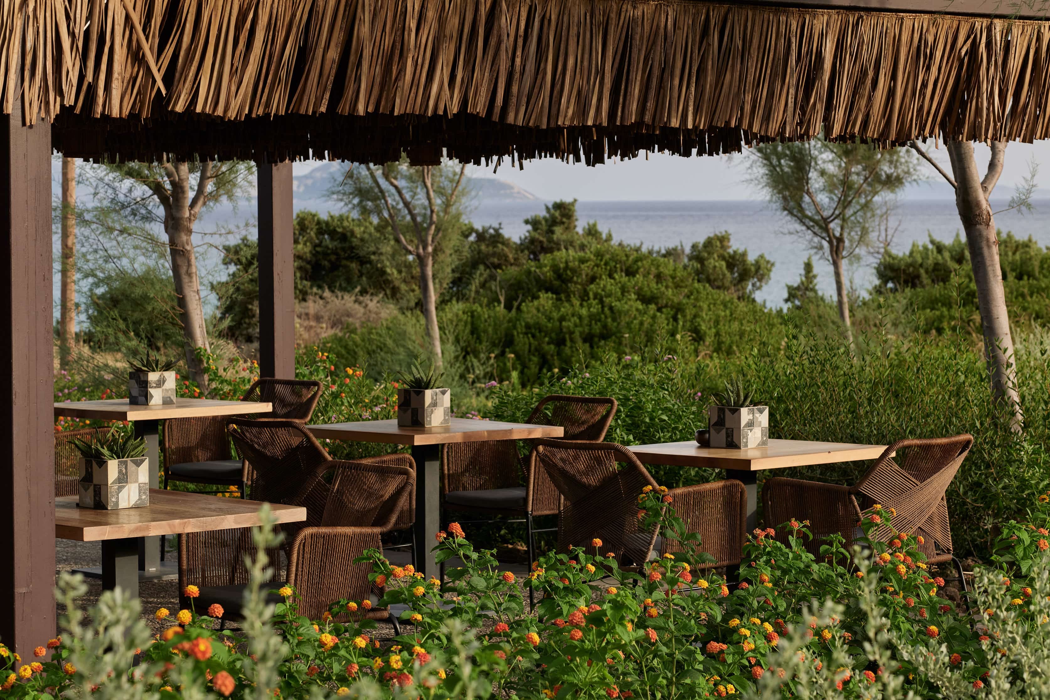 a garden with tables and chairs
