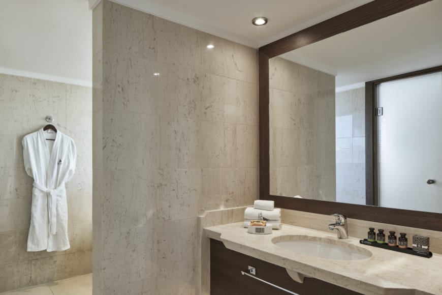a bathroom with a large mirror