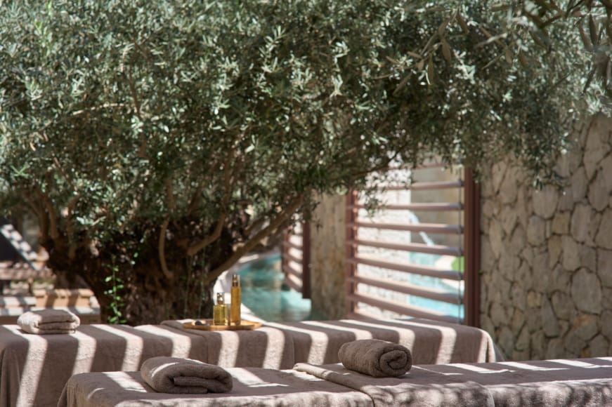 a patio with a tree and a pool
