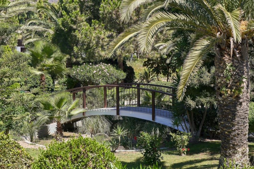 a swimming pool surrounded by trees