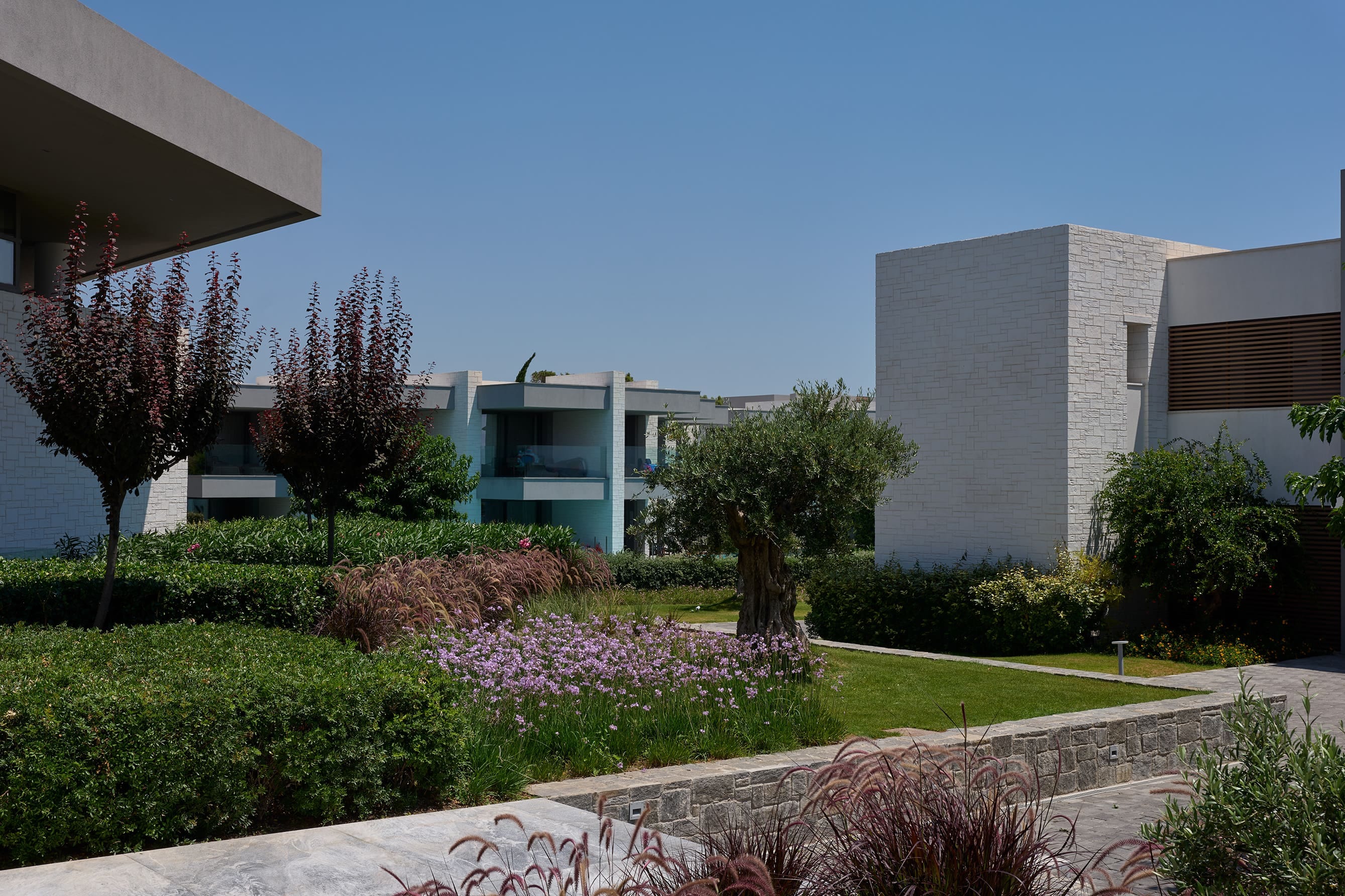 a building with a garden