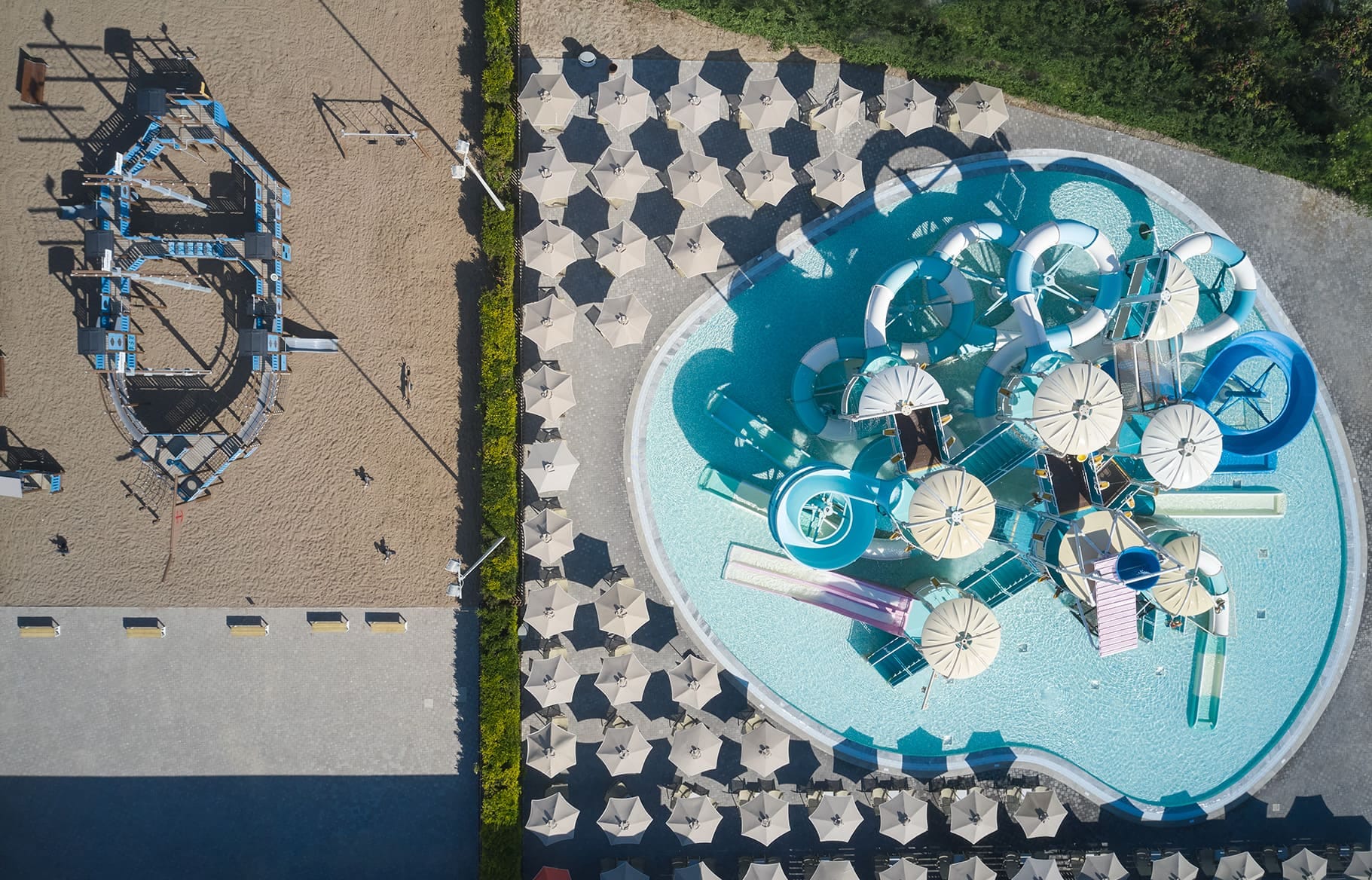 a circular object with a design on it