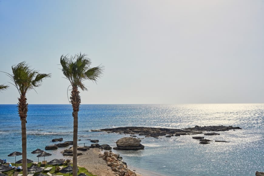 a beach with palm trees and water