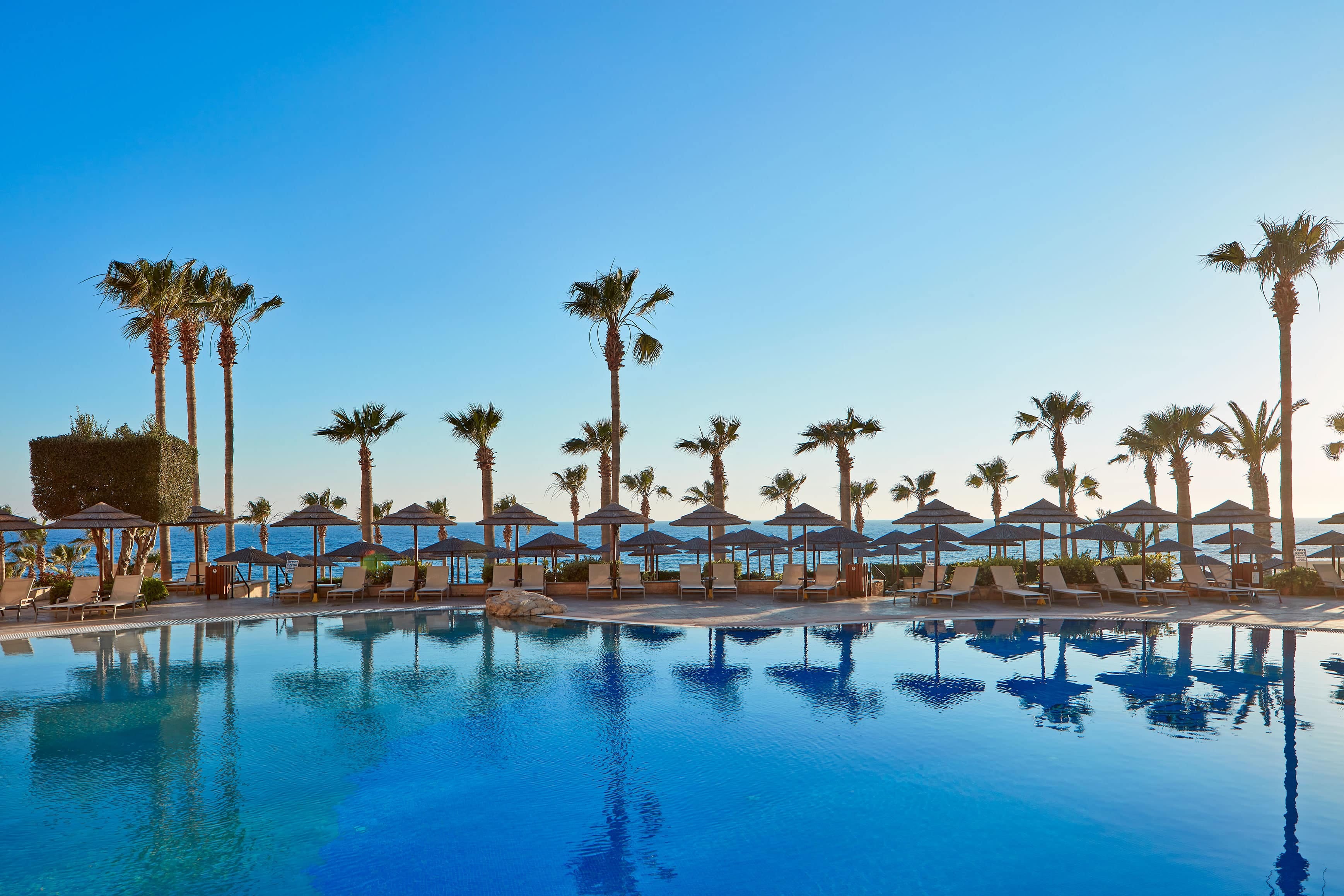 a beach with palm trees and umbrellas