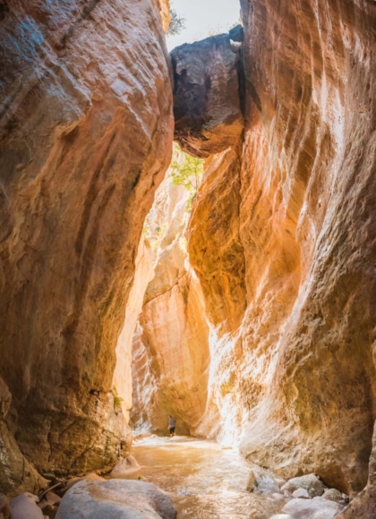 a person standing in a canyon