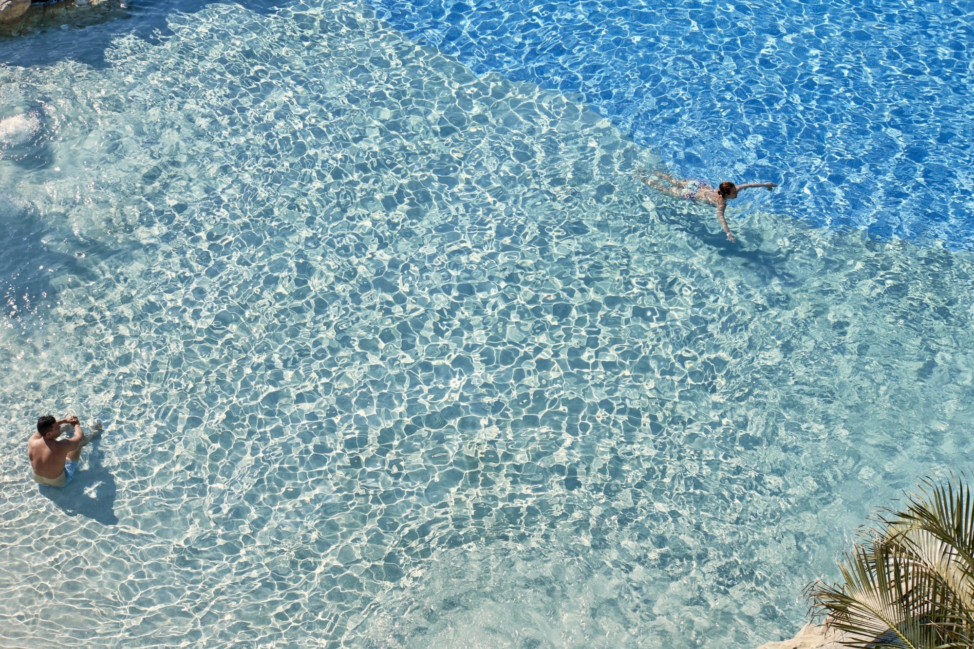people swimming in the ocean